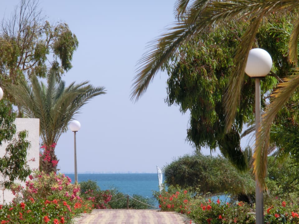 Hier gehts zum Strand Hotel El Mouradi Djerba Menzel