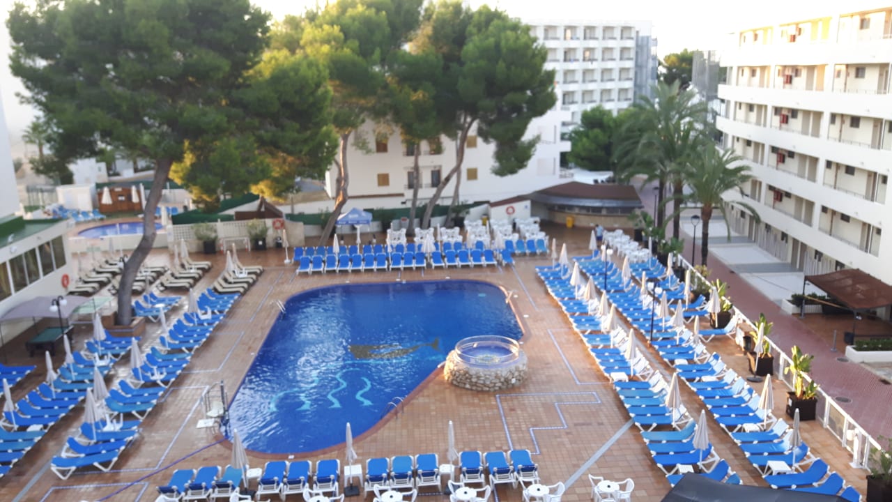 Pool Moon Dreams Coral Beach