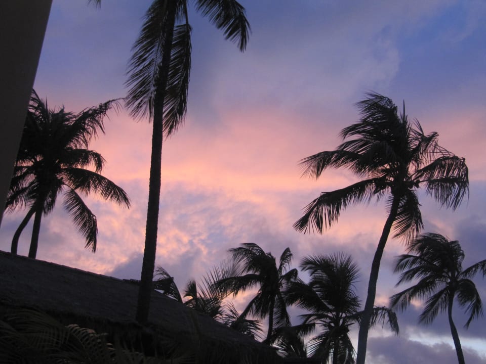 Abendstimmung - unser Blick von der Terrasse Manchebo Beach Resort & Spa