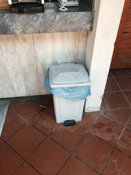 Gartenanlage Hotel Pine Bay Holiday Resort