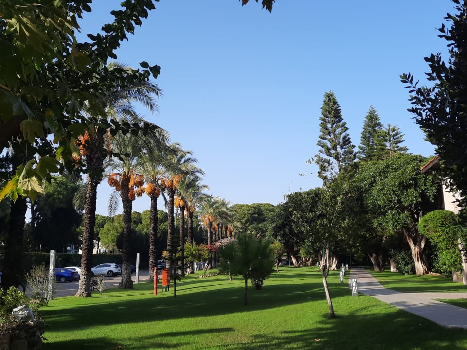 Gartenanlage Papillon Ayscha