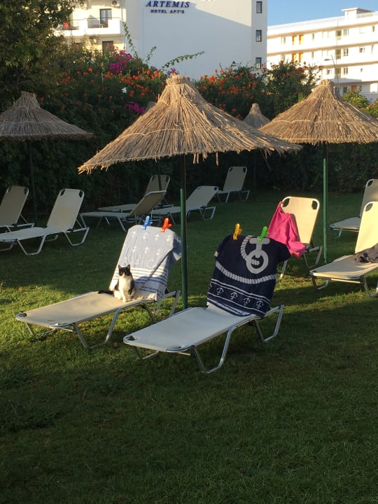 Gartenanlage Heronissos Hotel