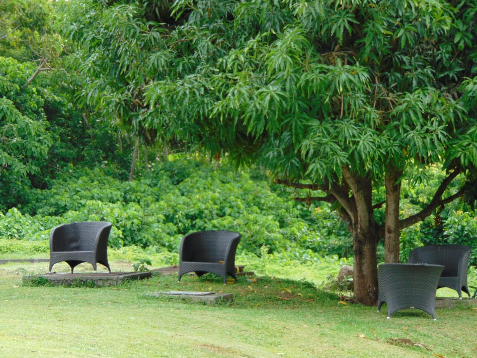 Gartenanlage Sofitel Malabo Sipopo Le Golf