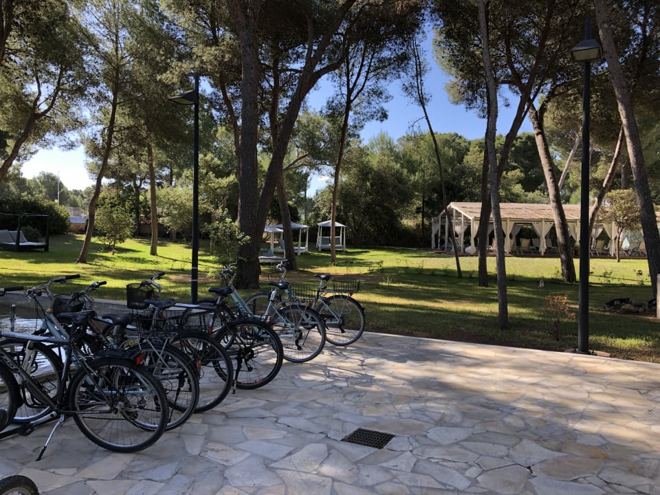 Gartenanlage Hotel Zafiro Alzinar Mar