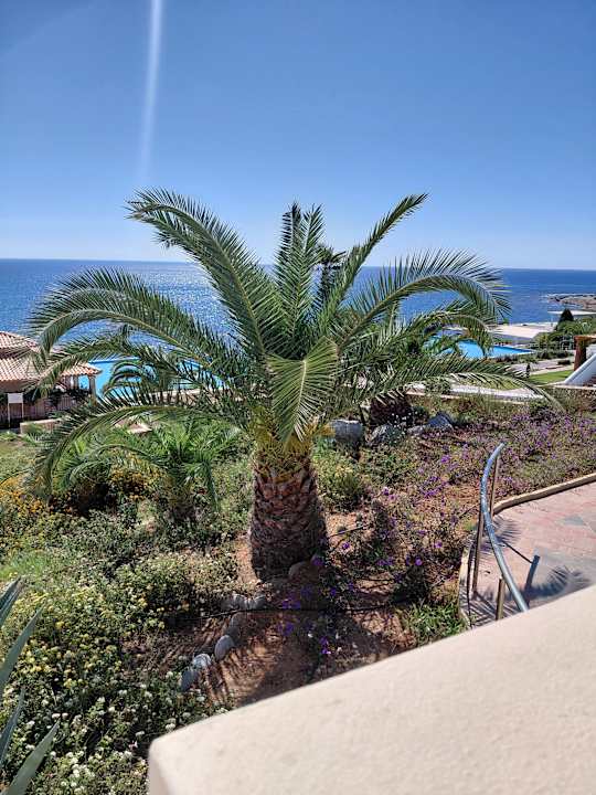 Gartenanlage Atrium Prestige Thalasso Spa Resort & Villas