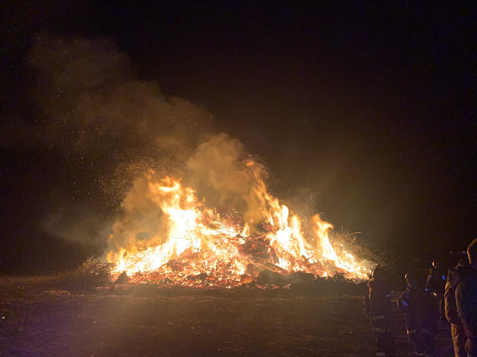 Sonstiges Nordseefewo-Lämmerblick