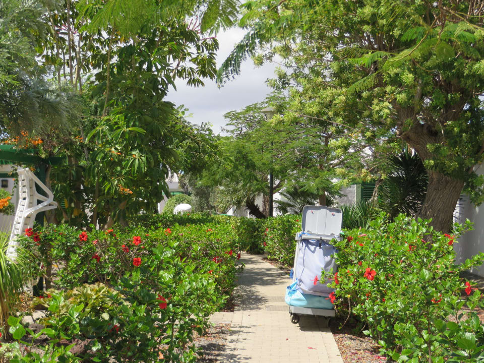 Bungalow Bungalows Cordial Sandy Golf