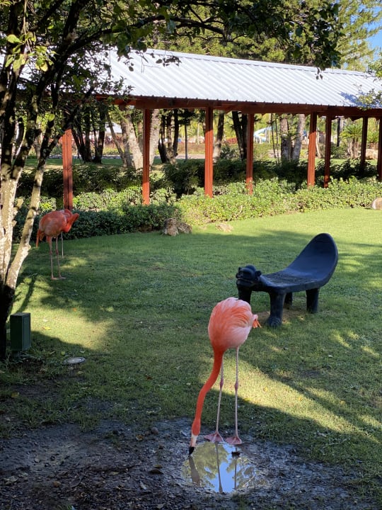 Gartenanlage Secrets La Romana Resort & Spa - Adult Only