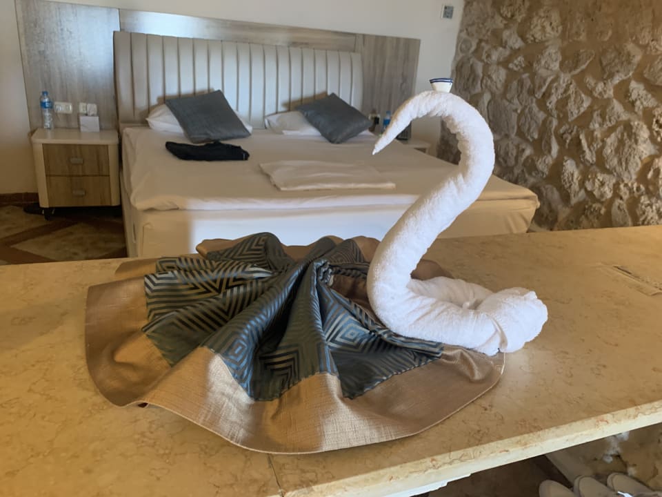 Zimmer Pickalbatros Citadel Resort