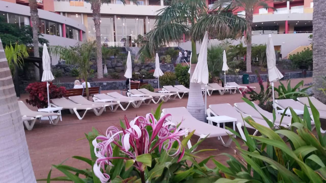 Liegen Am Pool Iberostar Waves Gaviotas Park