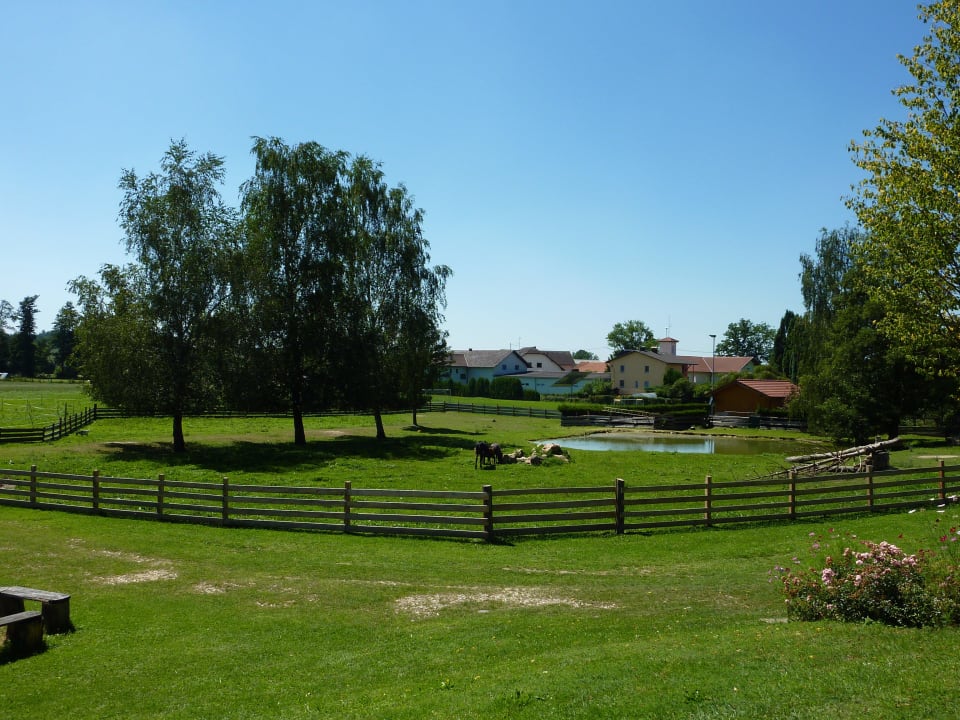 Blick auf eines der drei Tiergehege Ferienhotel Innviertel