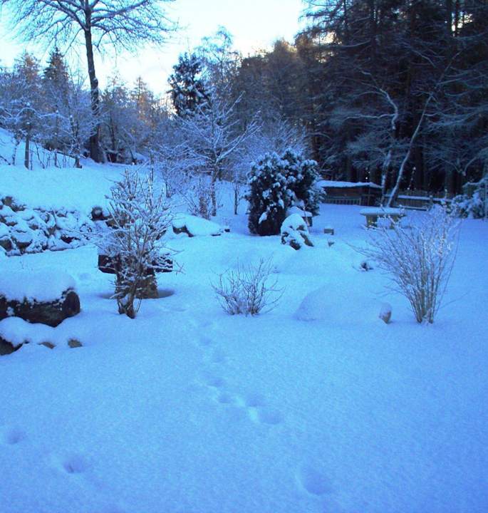 Garten Winter Pension Harrasser