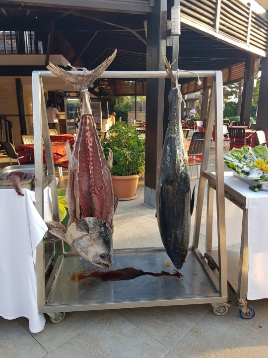 Gastro Seamelia Beach Resort