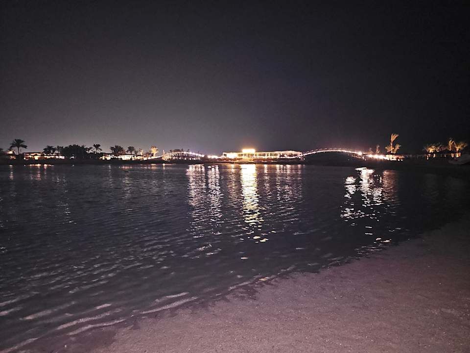 Sonstiges Desert Rose