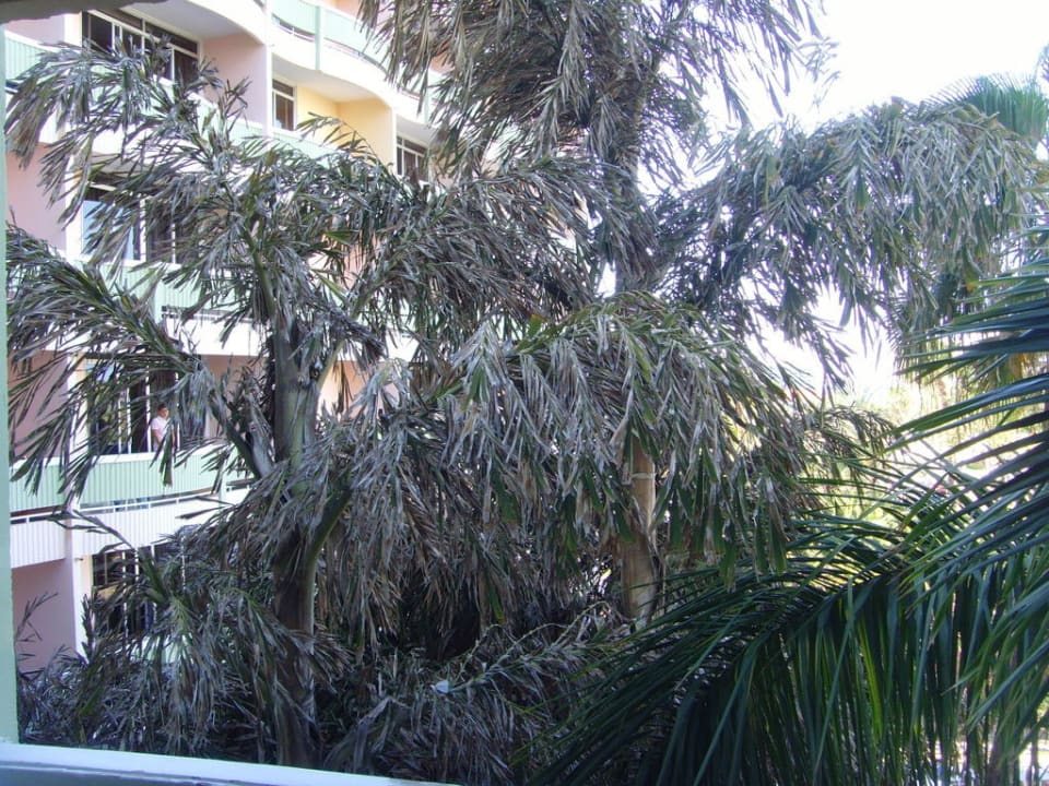 Unser Ausblick Zimmer 459 Abora Buenaventura by Lopesan Hotels