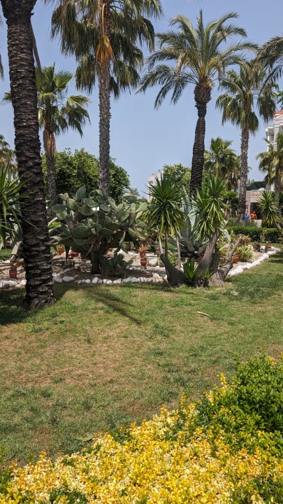 Gartenanlage Trendy Aspendos Beach Hotel