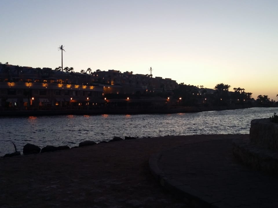 Hotel mit Meerpool Pickalbatros Citadel Resort