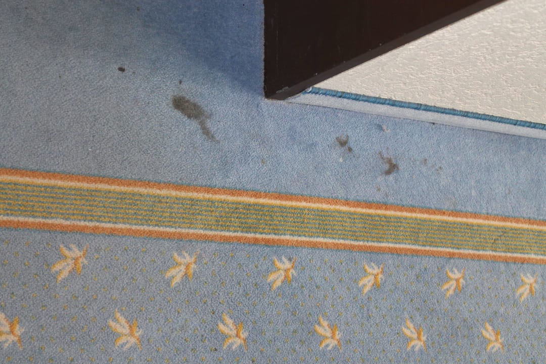 Flecken im Flur 4 Göbel's Seehotel Diemelsee