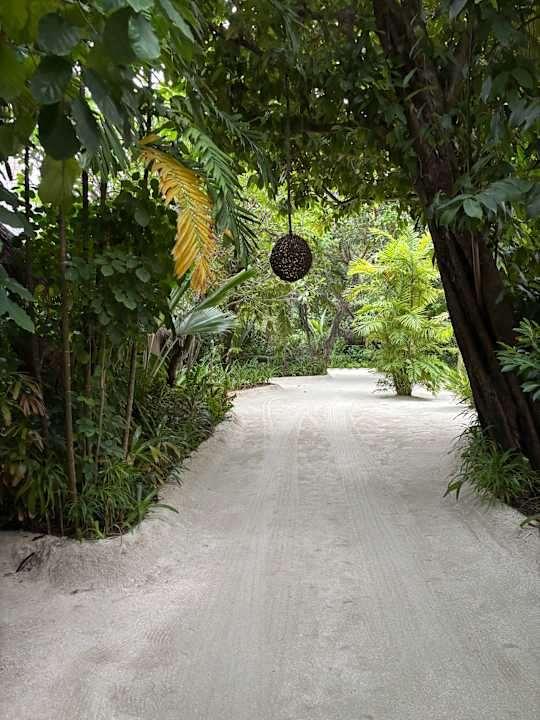 Gartenanlage Huvafen Fushi, Maldives