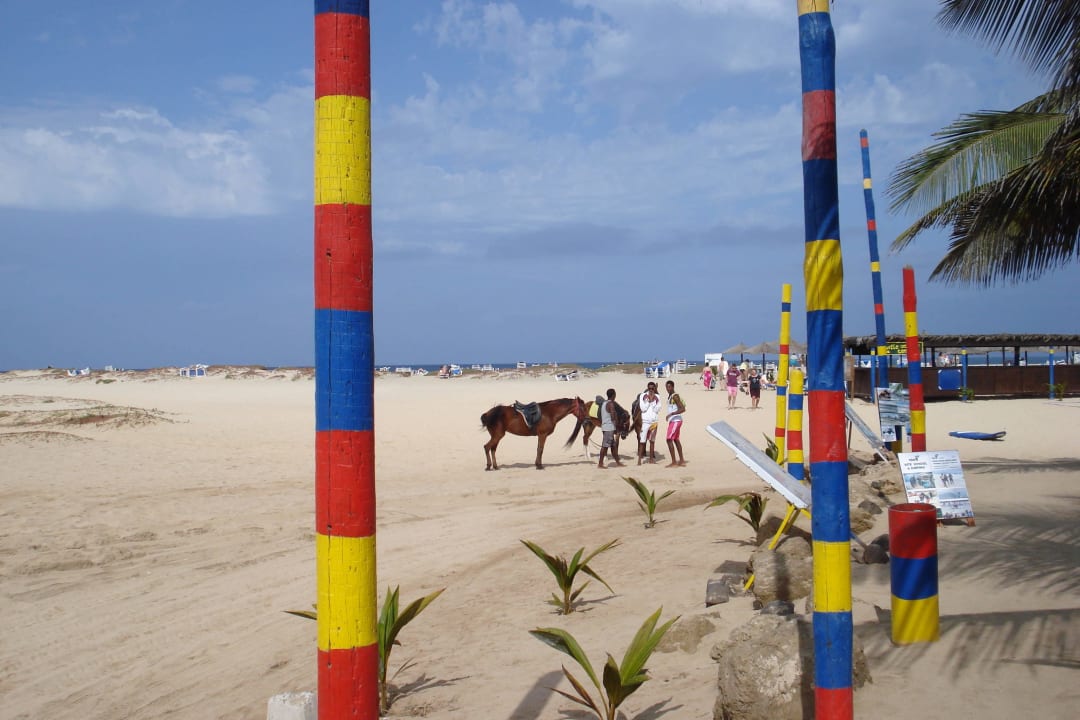 Ausflüge per Pferd Hotel Riu Funana