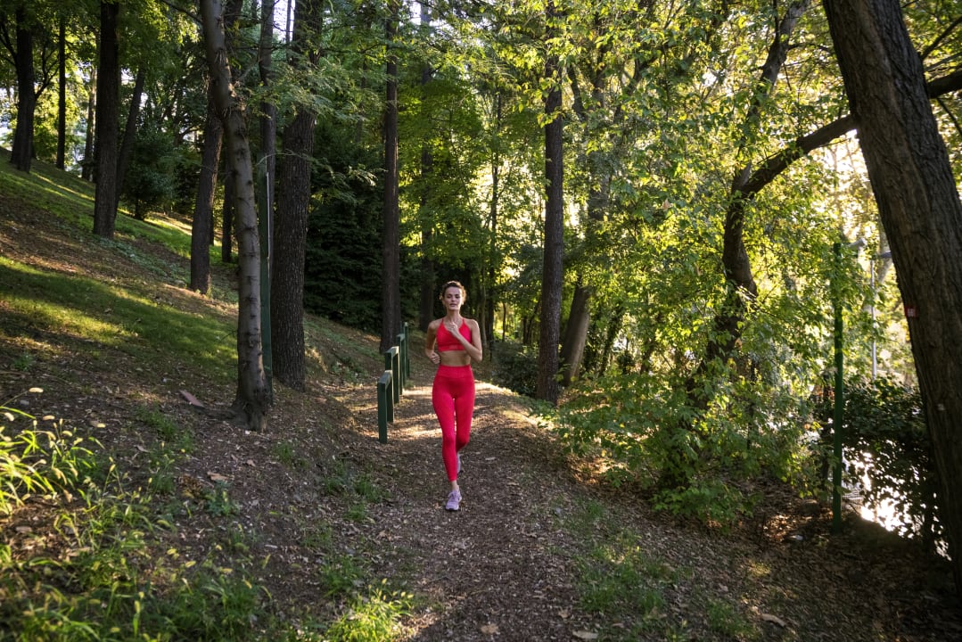 Gartenanlage Hotel Swissôtel The Bosphorus