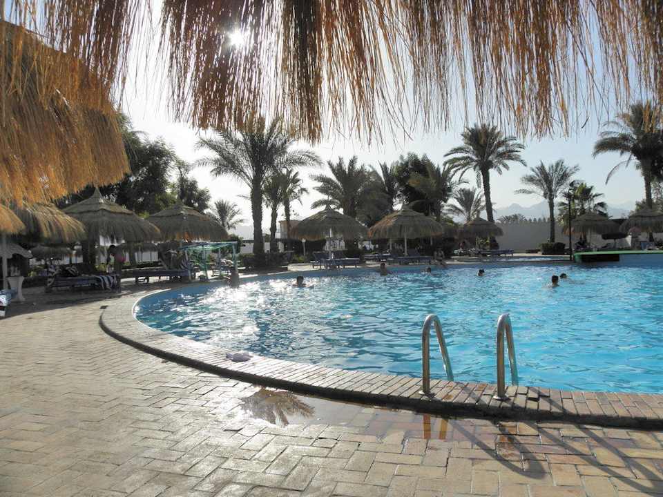 Pool Albatros Sharm Resort