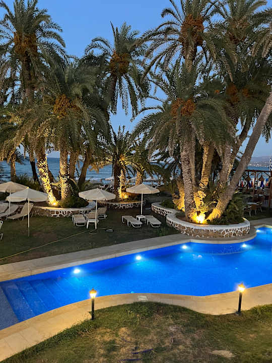 Pool Zeus Hotels Palm Beach