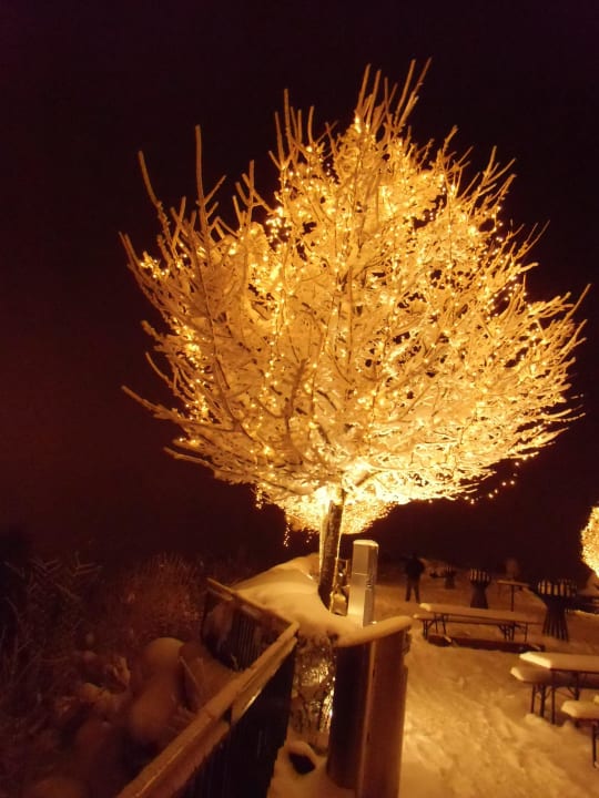 Winter Hotel UTO KULM car-free hideaway in Zurich