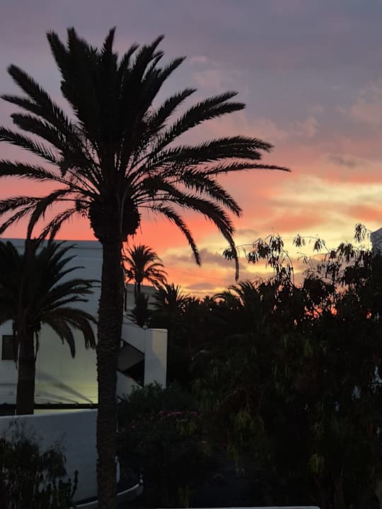 Gartenanlage Hotel Las Costas