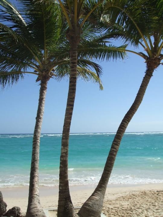 Postkartenmotiv  Grand Palladium Select Bávaro Resort & Spa