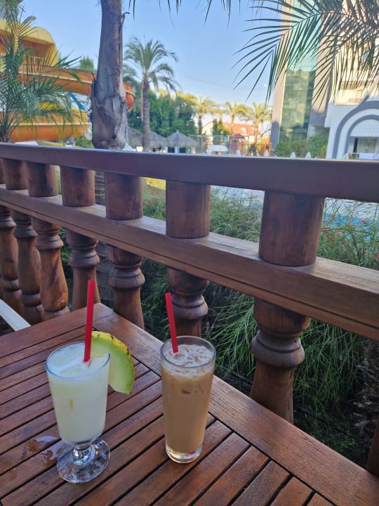 Gastro Well Palace Side