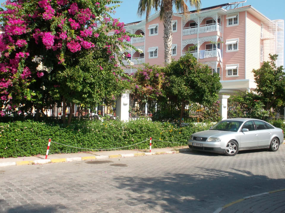 Hotel Pasha's Princess by Werde Hotels- Adults only ( +16 )