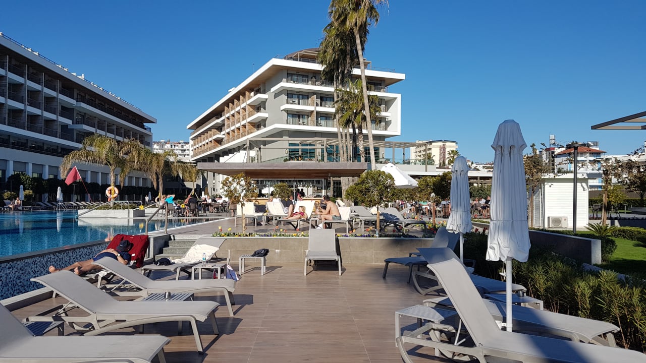 Pool Acanthus Cennet Barut Collection