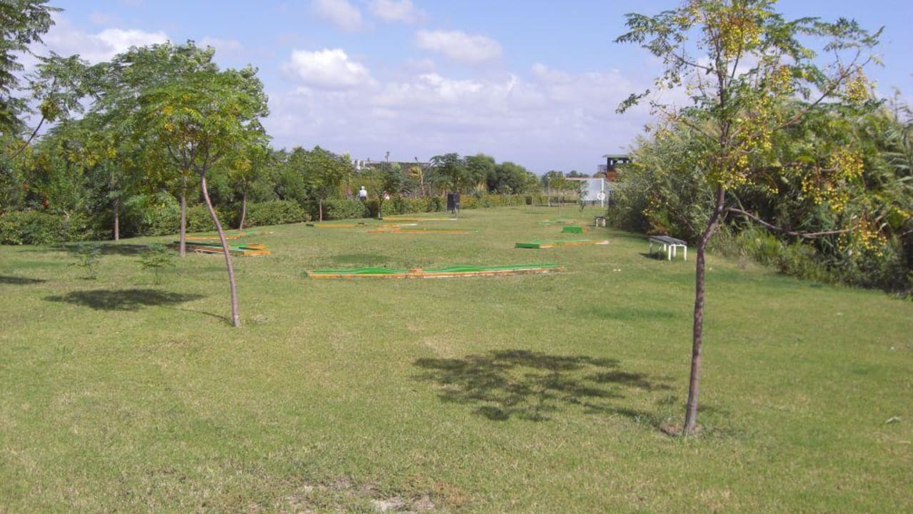 Midgetgolf Crystal Paraiso Aqua Collection