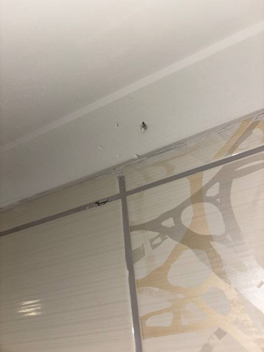 Zimmer Merve Sun Hotel & Spa