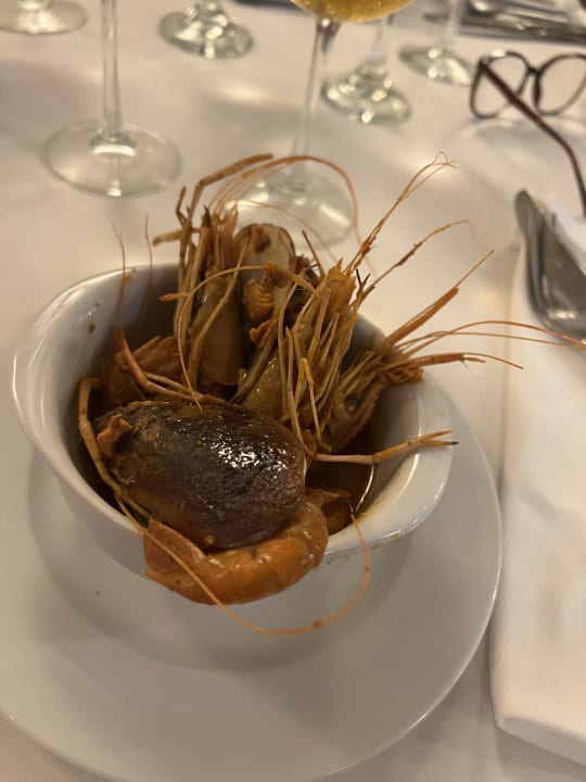 Gastro Hotel Viva Dominicus Beach by Wyndham - All Inclusive Resort