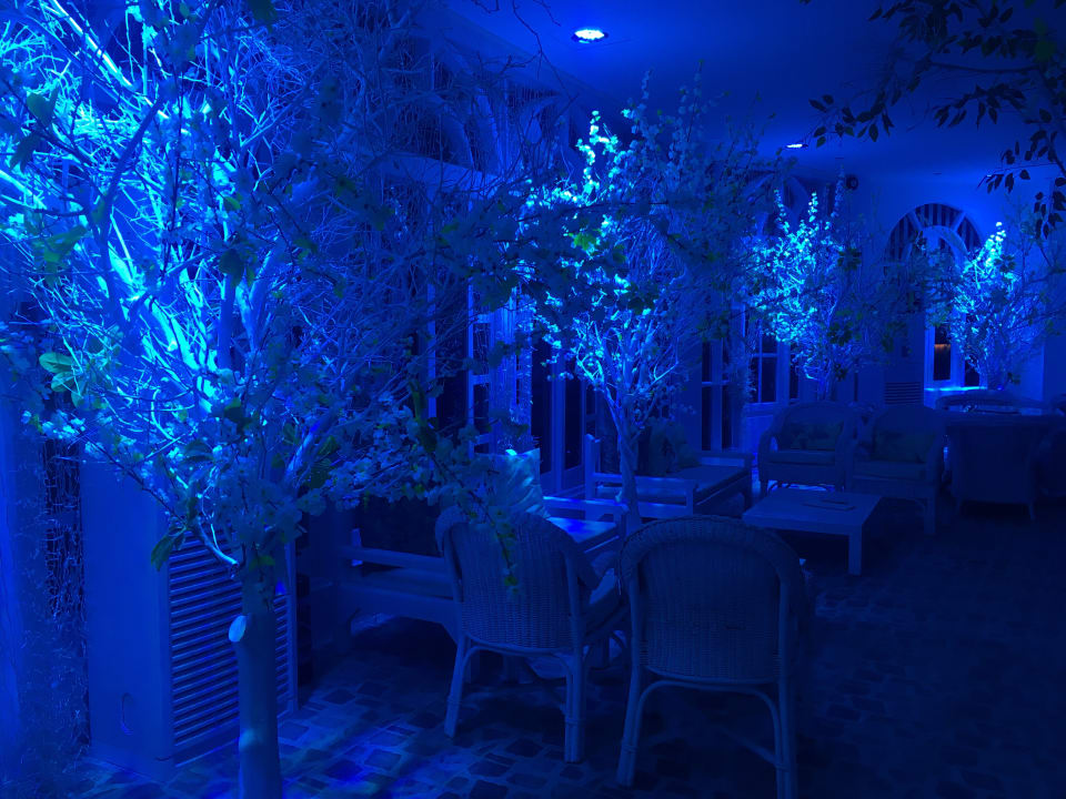 Sonstiges Desert Rose