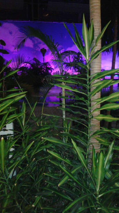 Bei Nacht sehr schön Tropical Islands Resort