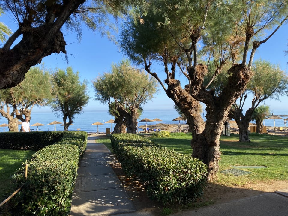 Gartenanlage Phãea Cretan Malia