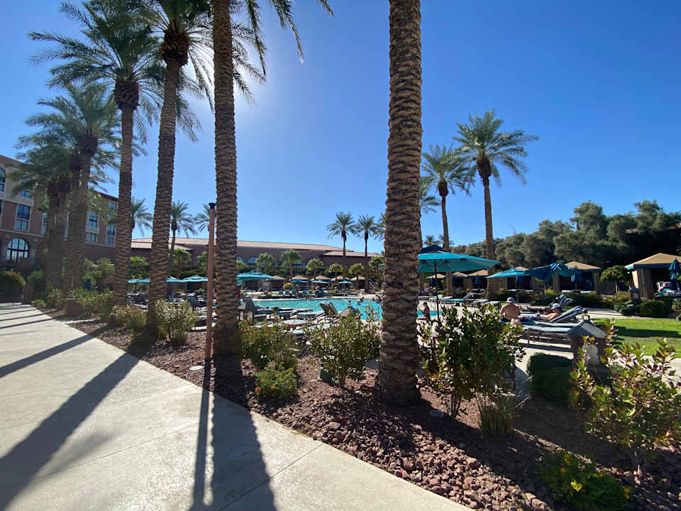 Pool The Westin Lake Las Vegas Resort & Spa