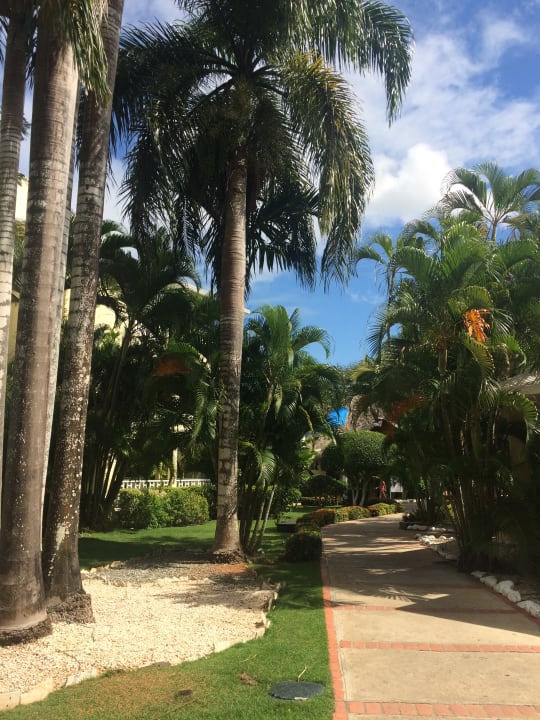 Gartenanlage BelleVue Dominican Bay