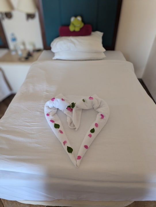 Zimmer Pickalbatros Citadel Resort