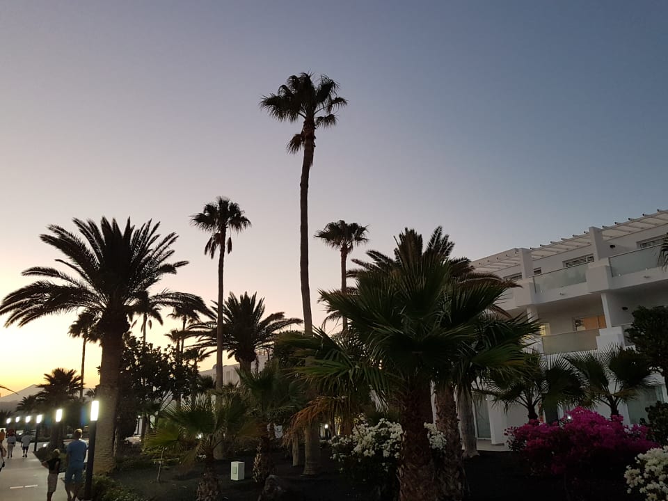 Sonstiges Sentido Aequora Lanzarote Suite