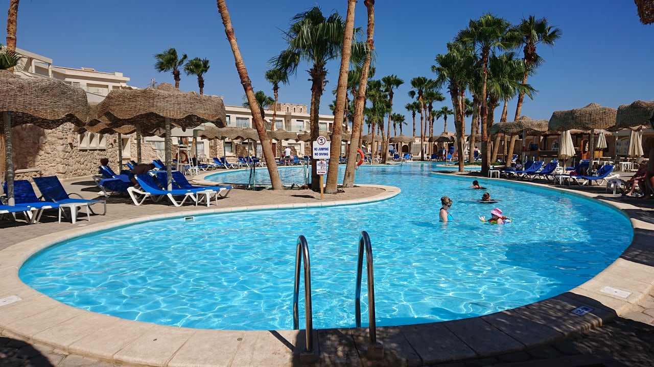 Pool Pickalbatros Citadel Resort