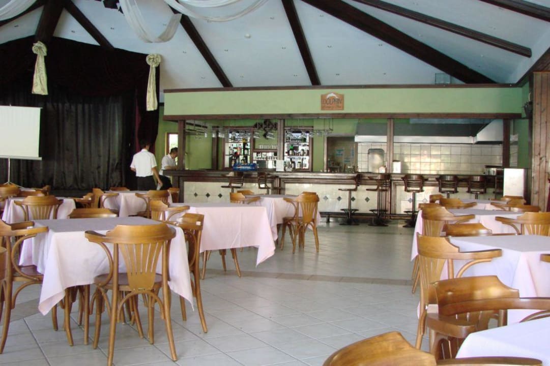 Dolfin bar Alba Resort Hotel