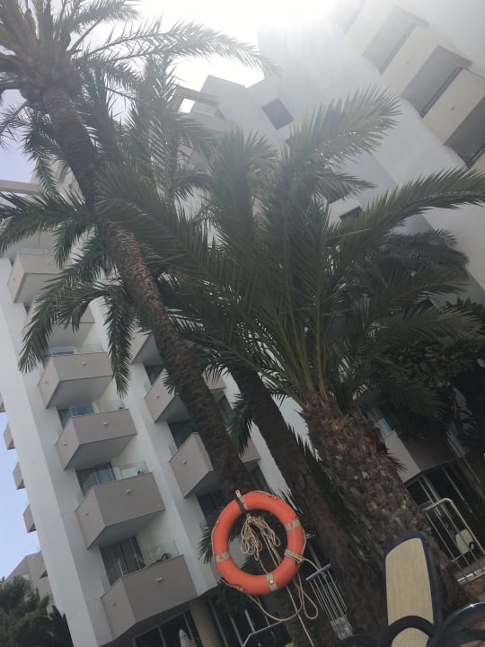 Außenansicht Hipotels Bahia Grande