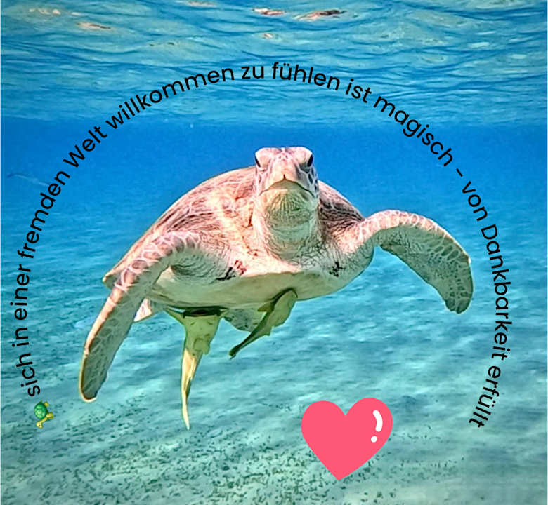 Strand JAZ Elite Amara