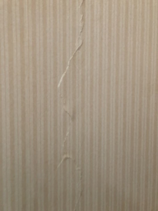 Zimmer Latanya Park Resort