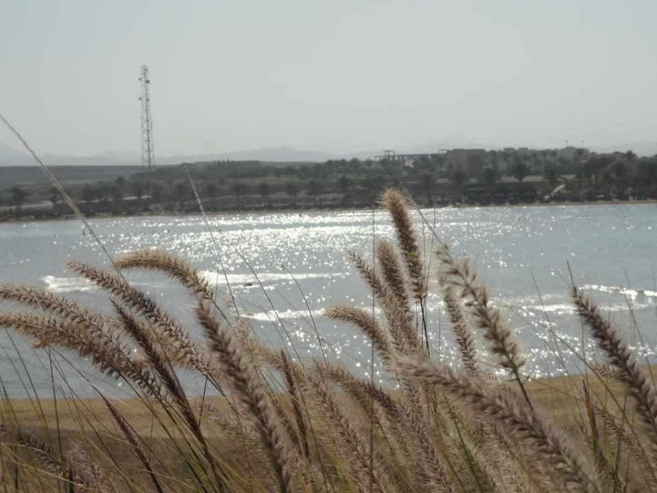 Blick vom Strand Jaz Dar EL Madina