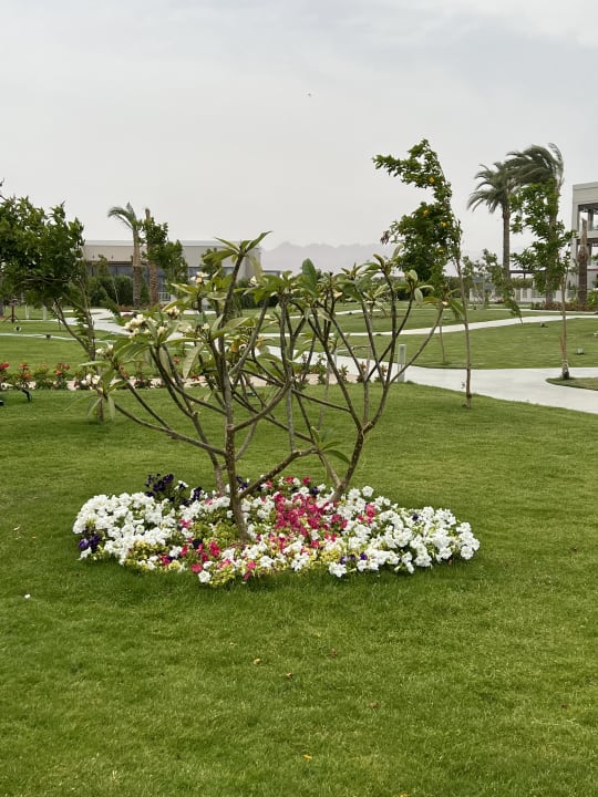 Gartenanlage Steigenberger Resort Ras Soma